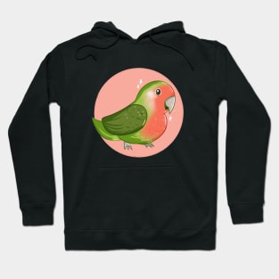 Cute Rosy-faced Lovebird Hoodie